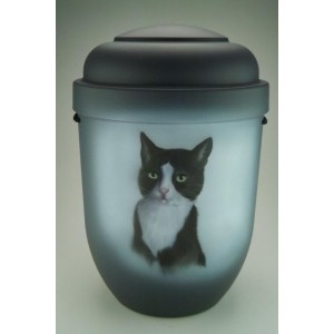 Hand Painted Biodegradable Cremation Ashes Funeral Urn / Casket – Pet Cat